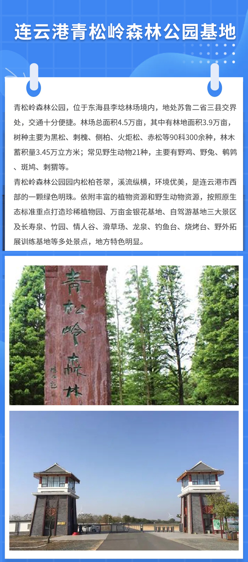 未标题-1.jpg